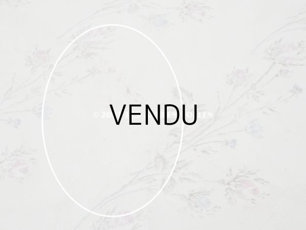 画像16: 未使用 1900年頃 アンティーク 薔薇模様 シルク製ファブリック フロッキー加工 54cm幅 (16)