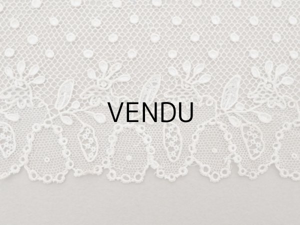 画像9: 19世紀 未使用 アンティーク ニードルレース アランソンレース 2.8m 8〜8.6cm『ポワン・ダランソン（アランソン）』  (9)