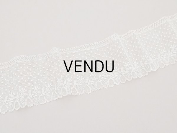 画像5: 19世紀 未使用 アンティーク ニードルレース アランソンレース 2.8m 8〜8.6cm『ポワン・ダランソン（アランソン）』  (5)