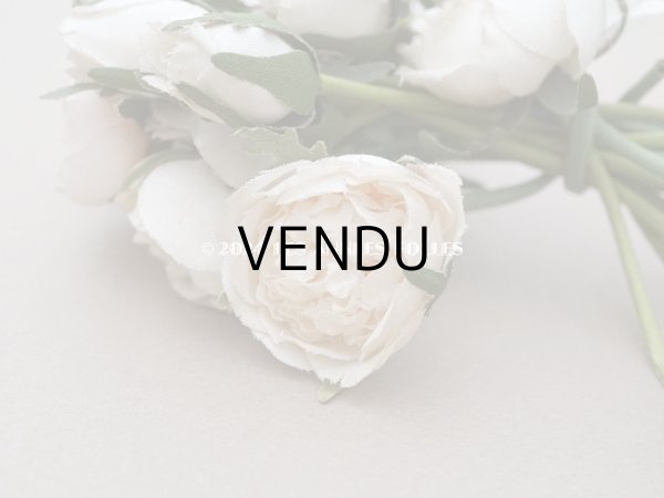 画像8: アンティーク 薔薇のブーケ パウダーピンク＆ホワイト　クウォーターロゼット咲き (8)