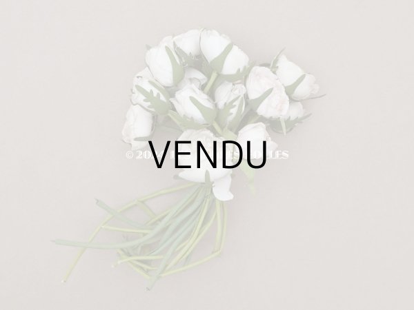 画像4: アンティーク 薔薇のブーケ パウダーピンク＆ホワイト　クウォーターロゼット咲き (4)