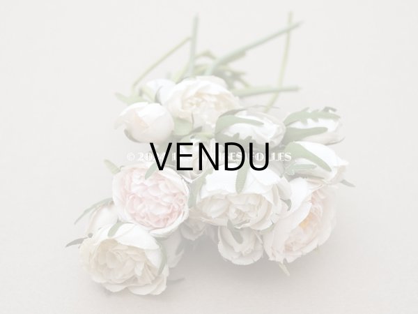 画像5: アンティーク 薔薇のブーケ パウダーピンク＆ホワイト　クウォーターロゼット咲き (5)