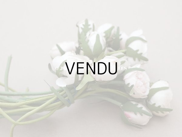 画像10: アンティーク 薔薇のブーケ パウダーピンク＆ホワイト　クウォーターロゼット咲き (10)