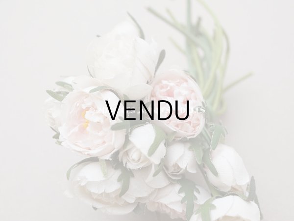 画像9: アンティーク 薔薇のブーケ パウダーピンク＆ホワイト　クウォーターロゼット咲き (9)