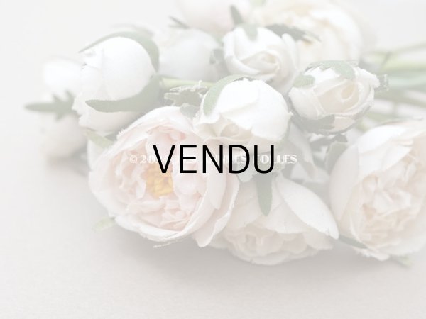 画像7: アンティーク 薔薇のブーケ パウダーピンク＆ホワイト　クウォーターロゼット咲き (7)