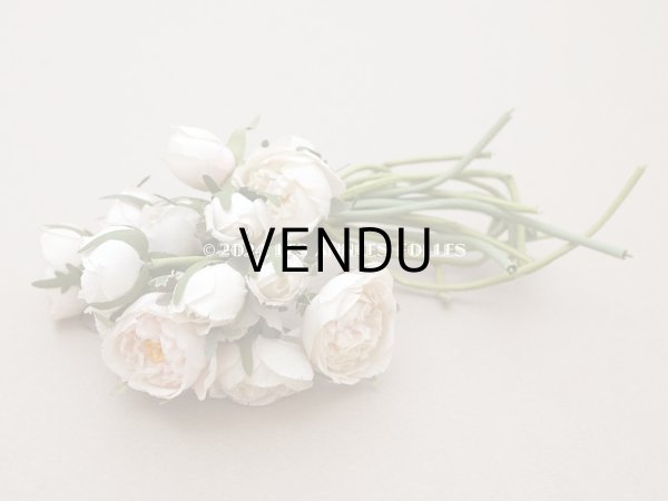 画像3: アンティーク 薔薇のブーケ パウダーピンク＆ホワイト　クウォーターロゼット咲き (3)