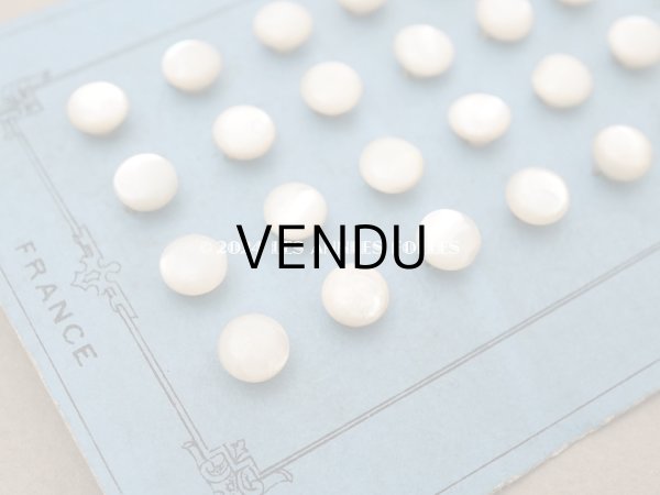 画像5: アンティーク マザーオブパール製 フラット 極小 ボタン 6.5mm パールホワイト　 24ピース シェルボタン (5)