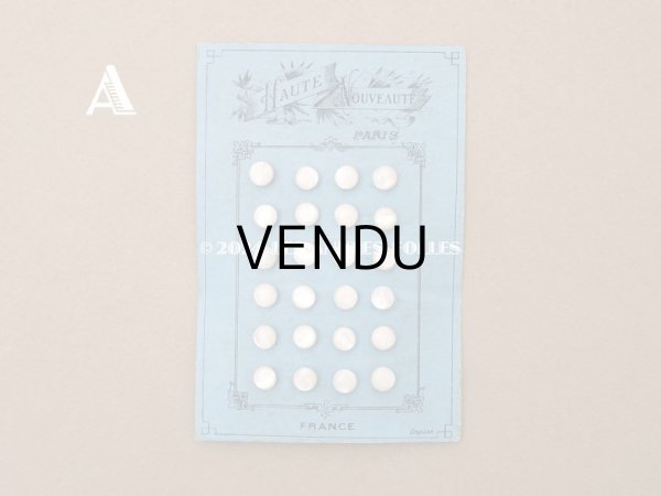 画像3: アンティーク マザーオブパール製 フラット 極小 ボタン 6.5mm パールホワイト　 24ピース シェルボタン (3)