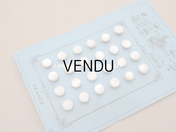 画像4: アンティーク マザーオブパール製 フラット 極小 ボタン 6.5mm パールホワイト　 24ピース シェルボタン (4)