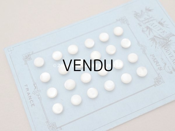 画像8: アンティーク マザーオブパール製 フラット 極小 ボタン 6.5mm パールホワイト　 24ピース シェルボタン (8)