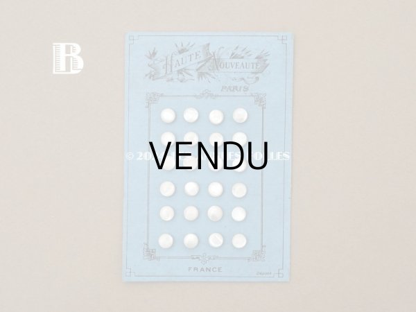 画像7: アンティーク マザーオブパール製 フラット 極小 ボタン 6.5mm パールホワイト　 24ピース シェルボタン (7)