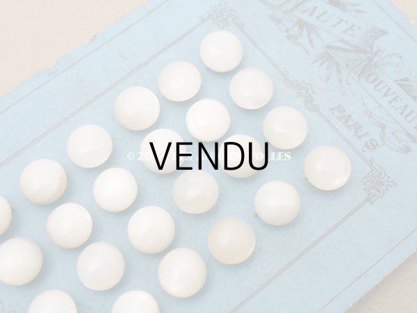 画像3: アンティーク マザーオブパール製 ボタン 8~9mm パールホワイト 24ピース シェルボタン (3)