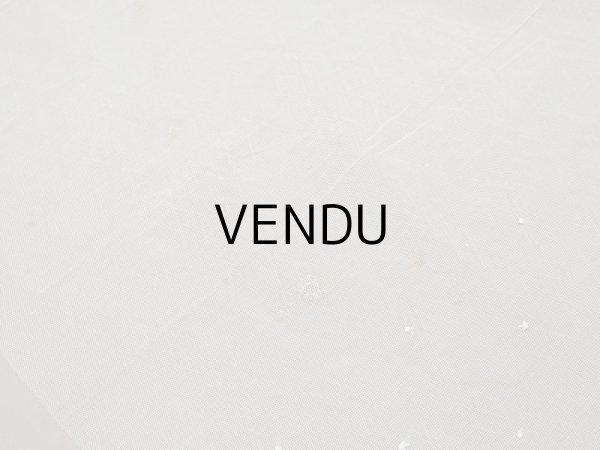 画像7: アンティーク 62cm幅　小花の刺繍入り チュールレース地 オフホワイト (7)