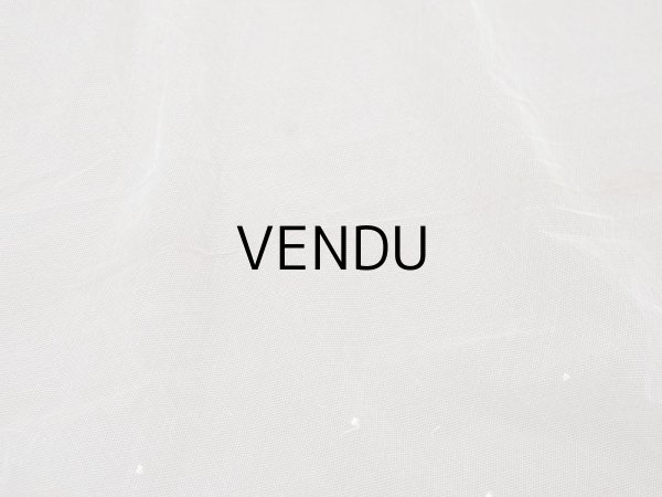 画像8: アンティーク 62cm幅　小花の刺繍入り チュールレース地 オフホワイト (8)