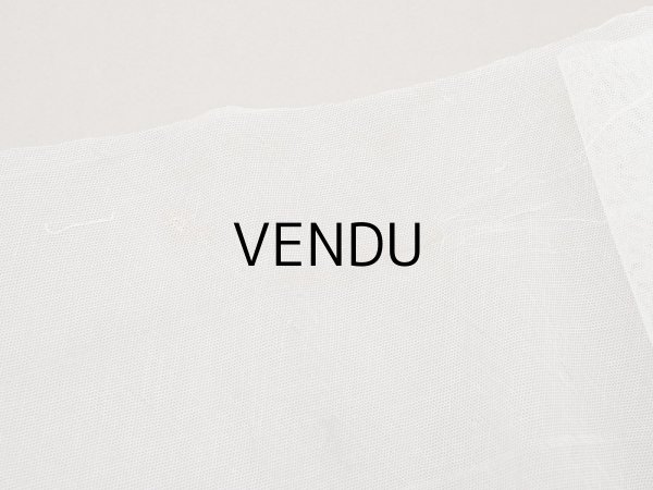 画像6: アンティーク 62cm幅　小花の刺繍入り チュールレース地 オフホワイト (6)