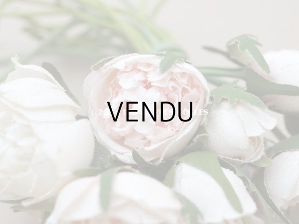 画像12: アンティーク 薔薇のブーケ パウダーピンク＆ホワイト　クウォーターロゼット咲き (12)