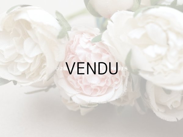 画像13: アンティーク 薔薇のブーケ パウダーピンク＆ホワイト　クウォーターロゼット咲き (13)