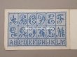画像9: 19世紀末 アンティーク SAJOU 刺繍図案帳 DESSINS DE BRODERIES ALBUM N 452 - SAJOU PARIS - (9)