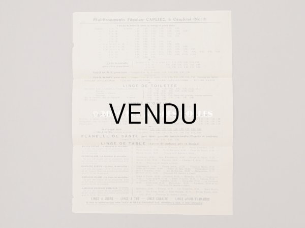 画像3: 19世紀末 アンティーク SAJOU 刺繍図案帳 DESSINS DE BRODERIES ALBUM N 452 - SAJOU PARIS - (3)