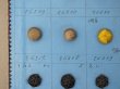 画像7: 19世紀 アンティーク小さなくるみボタンのサンプラー 80ピース (7)