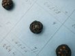 画像10: 19世紀 アンティーク　小さなくるみボタンのサンプラー 80ピース (10)