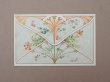 画像2: アンティーク パウダーサシェの紙袋 SACHET PARFUME AUX FLEURS - HUGUES FILS & CIE - (2)