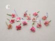 画像7: アンティーク 勿忘草 ベルベットの布花  オールドローズ 12ピースのセット 9mm (7)