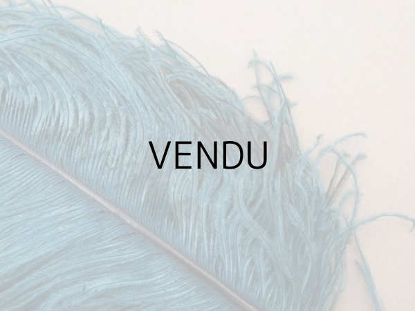 画像3: 1900年頃 アンティーク フェザー 羽飾り ブルーグリーン (3)