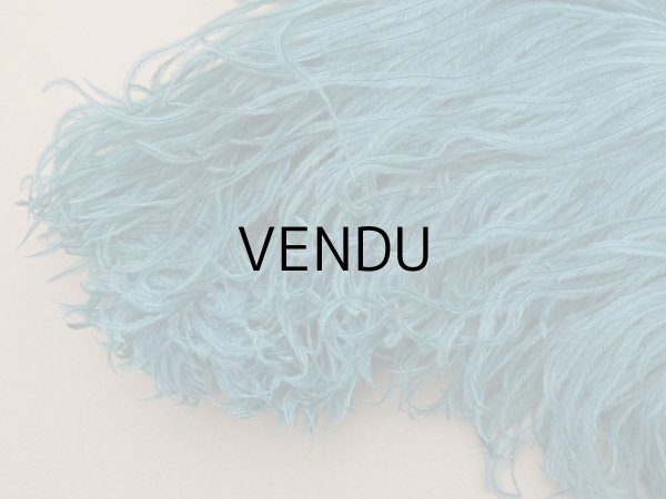 画像4: 1900年頃 アンティーク フェザー 羽飾り ブルーグリーン (4)