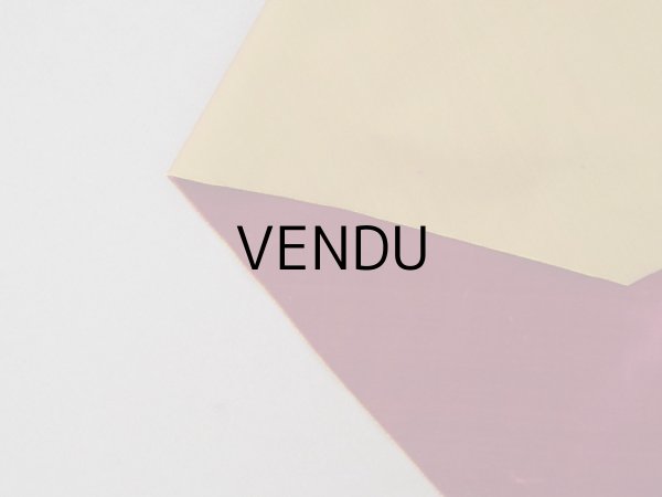 画像4: アンティーク シルク製ベルベット & コーディロイ 2点セット ボルドー ファブリック (4)