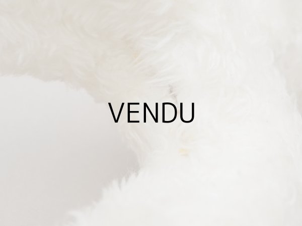 画像10: アンティーク 子羊のぬいぐるみ ブルーアイ (10)