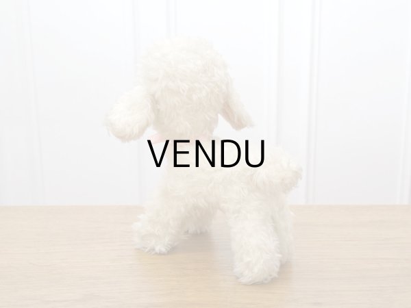 画像13: アンティーク 子羊のぬいぐるみ ブルーアイ (13)