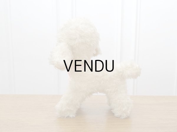 画像12: アンティーク 子羊のぬいぐるみ ブルーアイ (12)