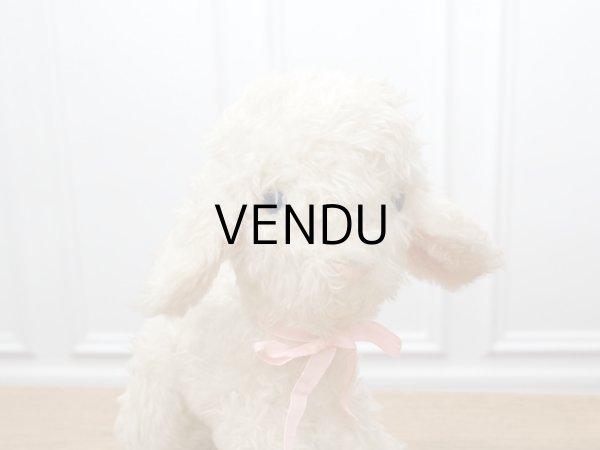 画像4: アンティーク 子羊のぬいぐるみ ブルーアイ (4)