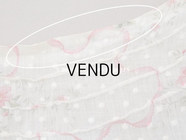 画像11: 1880年頃 アンティーク ドレス用 コットンオーガンジー 薔薇模様＆ドット刺繍入り 70×70cm  (11)