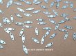 画像1: 19世紀末 アンティーク メタル製 8×2mm スパンコール スカイブルー 100ピースのセット (1)