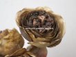 画像8: 未使用 ラベル付き アンティーク シルク製 薔薇の布花 カーキブラウン (8)