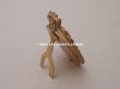 画像10: 19世紀末 アンティーク  ブロンズ製フレーム ミニアチュール (肖像画)入り 薔薇のガーランド (10)