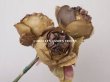 画像5: 未使用 ラベル付き アンティーク シルク製 薔薇の布花 カーキブラウン (5)
