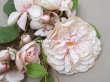 画像4: アンティーク 薔薇の布花のブーケ パウダーピンク クウォーターロゼット咲き (4)