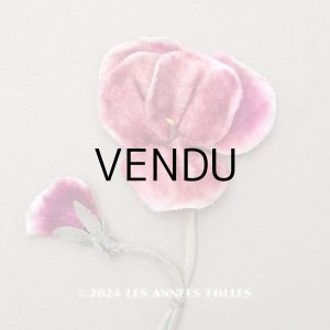 画像: 1900年頃 アンティーク パンジーの布花 ピンク＆パープル