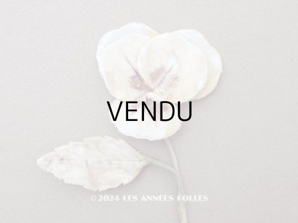 画像1: ＊蚤の市＊アンティーク パンジーの布花 ホワイトベージュ (1)