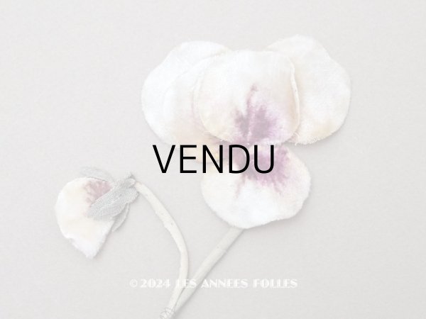 画像1: ＊蚤の市＊アンティーク パンジーの布花 ホワイトベージュ＆深紫 (1)