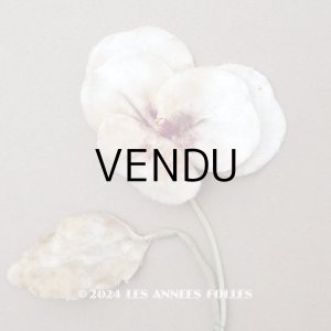 画像: ＊蚤の市＊アンティーク パンジーの布花 ホワイトベージュ