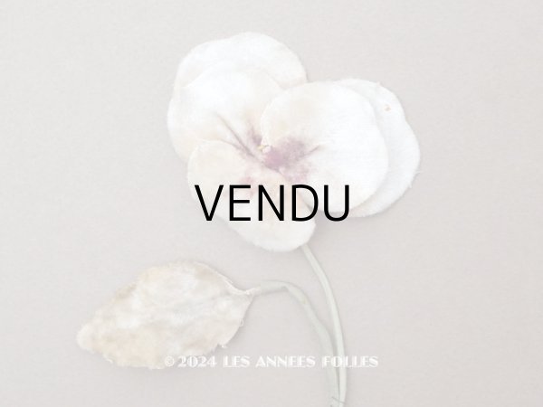 画像1: ＊蚤の市＊アンティーク パンジーの布花 ホワイトベージュ (1)