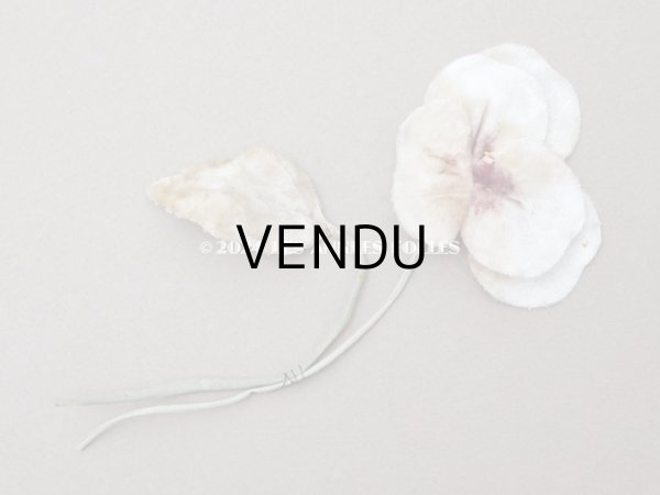 画像3: ＊蚤の市＊アンティーク パンジーの布花 ホワイトベージュ (3)