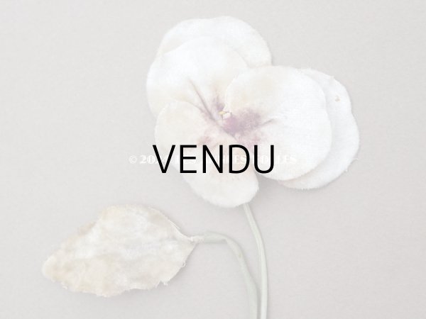 画像2: ＊蚤の市＊アンティーク パンジーの布花 ホワイトベージュ (2)