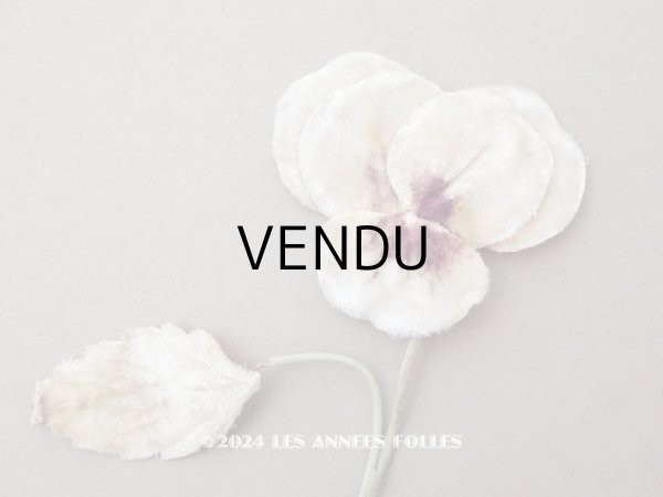 画像1: ＊蚤の市＊アンティーク パンジーの布花 ホワイトベージュ (1)