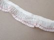 画像4: アンティーク プリーツリボン ピンクの縁取り 1.72m 2.3cm幅  (4)