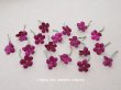 画像1: アンティーク 勿忘草の布花  赤紫 19ピースのセット 約15mm (1)